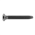 image - floor screw torx -.25-20x2